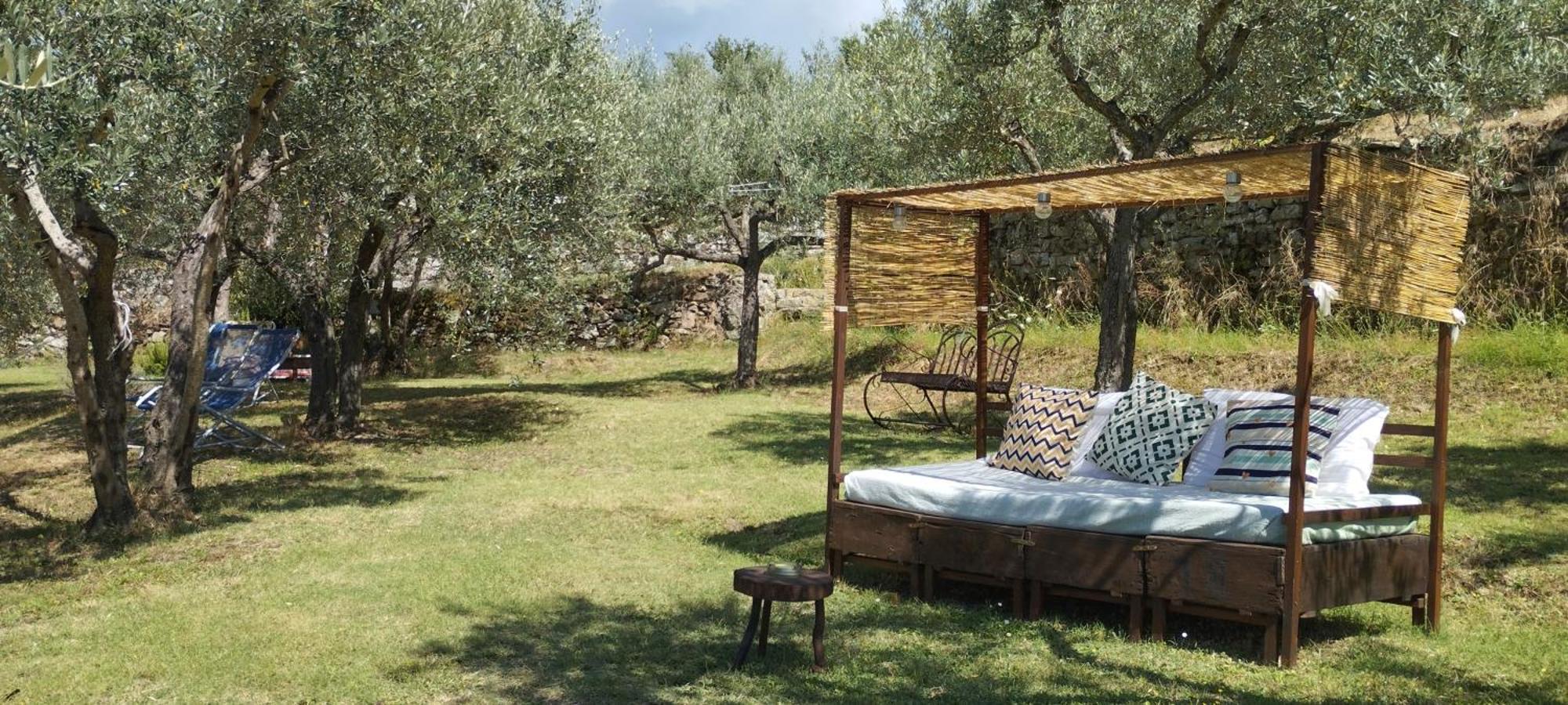 La Casa Tra Gli Ulivi Bed & Breakfast Cortona Exterior photo